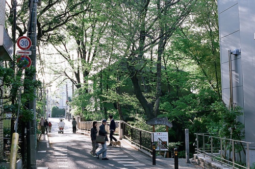 Tempat Istirahat di Tokyo: bukit Todoroki