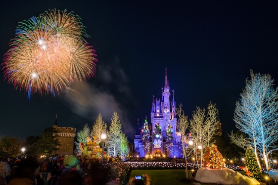 Panorama Tokyo Disneyland : Festival Kembang Api