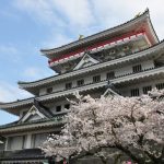 Bunga sakura di Kastil Atami