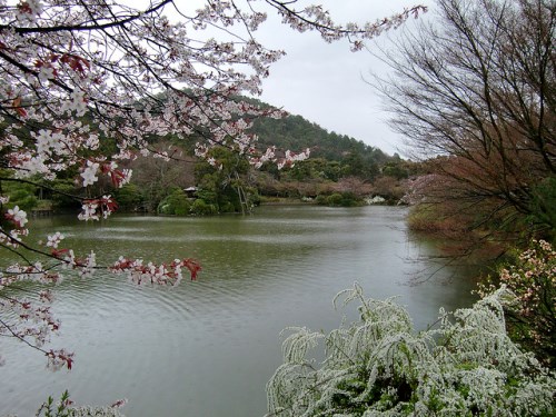 Danau di kompleks Kuil Ryoanji