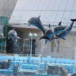 Dolphin Show dii Akuarium Nagoya