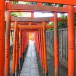 Gerbang Torri warna merah di Kuil Nezu Tokyo