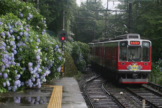 Hakone Tozan Train atau kereta gunung Hakone