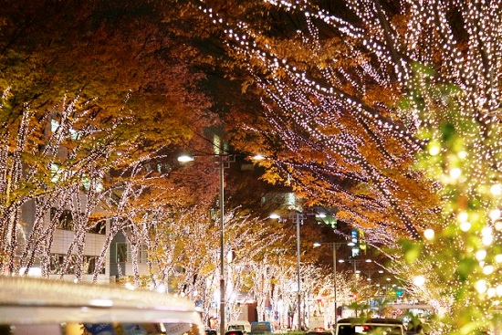 Iluminasi Musim Dingin di Omotesando Harajuku