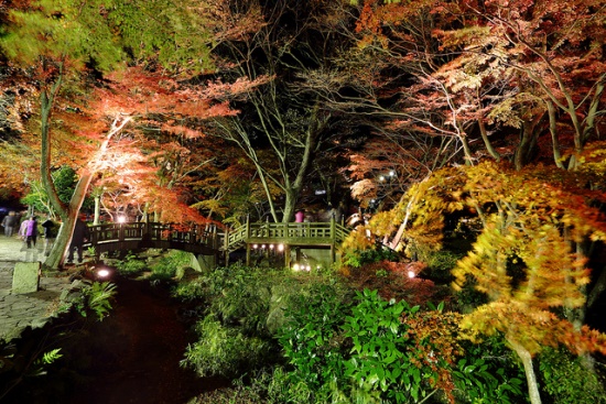 Iluminasi malam di Atami Plum Garden