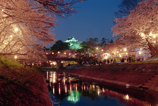 Kastil Okazaki saat festival bunga sakura