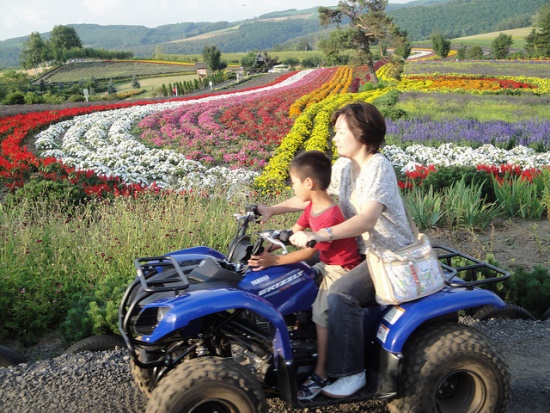 Kebun bunga Biei di Hokkaido