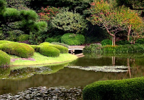 Tempat Istirahat di Tokyo: Taman Istana Kaisar