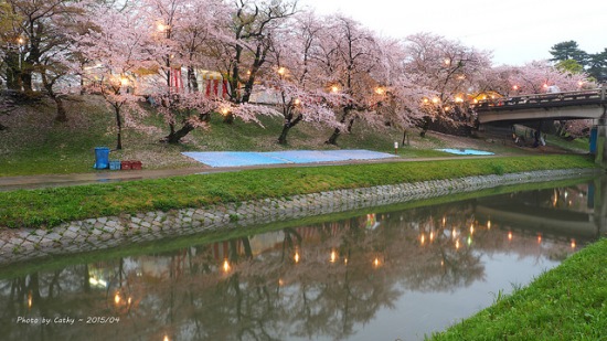 Keindahan bunga sakura di Kastil Okazaki