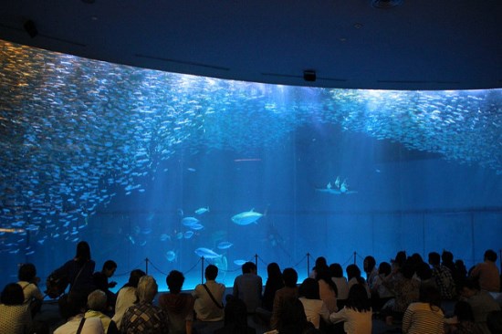 Kolam raksasa Akuarium Nagoya
