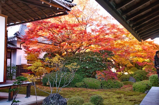 Kuil Terindah di Kyoto Kuil Genkoan di musim gugur