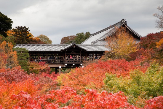 Kuil Terindah di Kyoto Kuil Tofukuji di musim gugur