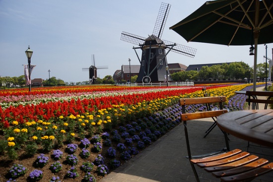 Melihat pemandangan taman bunga Huis Ten Bosch Nagasaki