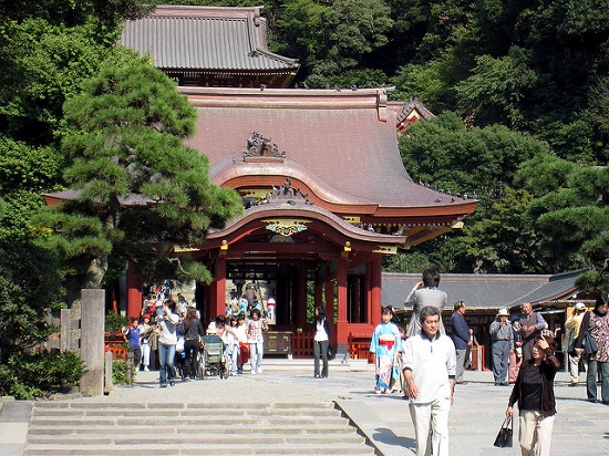 Mengunjungi Kuil Tsurugaoka Hachimangu di Kamakura