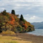 Momiji musim gugur dari Hakone En