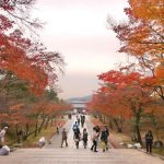 Momiji musim gugur di Kuil Ninnaji Kyoto