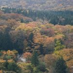 Musim Gugur di Hakone dari Hakone Ropeway