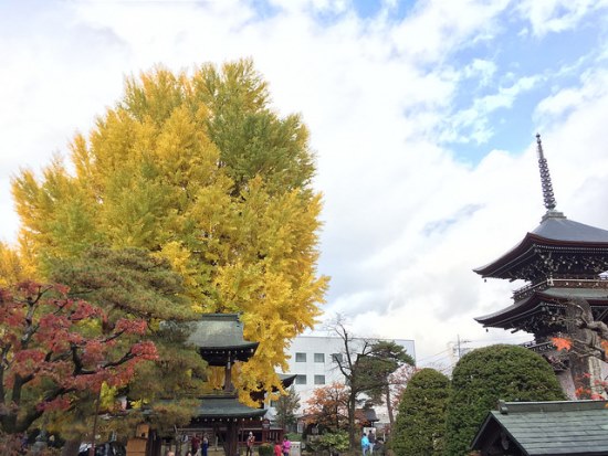 Musim gugur di Kuil Hida Kokubunji