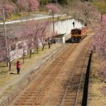 Musim semi di jalur Kereta Wisata Watarase