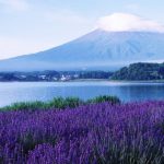 Pemandangan Gunung Fuji dari Oshino Hakkai