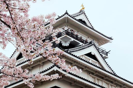 Pemandangan Kaminoyama Castle
