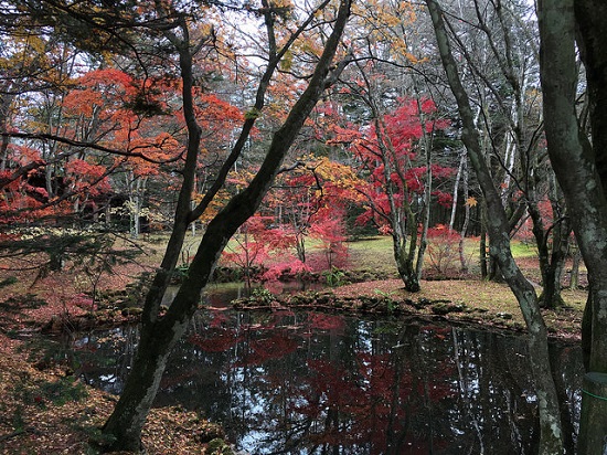 Pemandangan musim gugur di Kolam Kumoba Karuizawa
