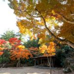 Pemandangan musim gugur di Momijidani Park