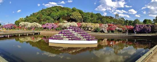 Piramid bunga di Taman Ashikaga