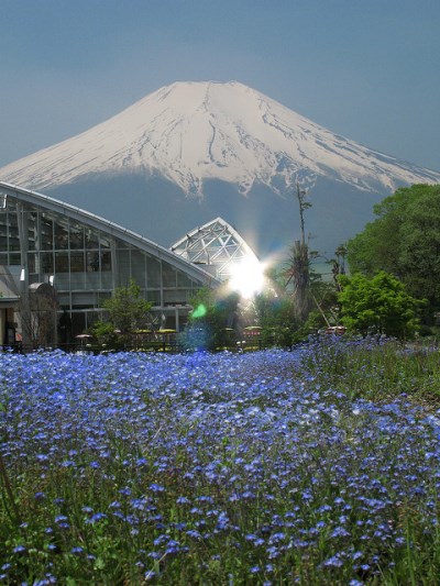 Rumah kaca di Kebun Bunga Hananomiyako
