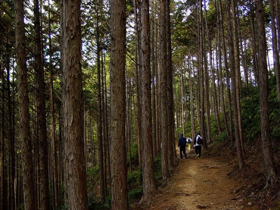 Rute perjalanan ziarah ke Kuil Kumano Hongu Taisha