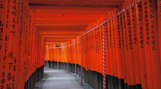 Seribu Torii di Fushimi Inari Taisha