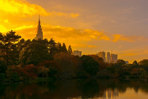 Taman Shinjuku Gyoen di senja hari