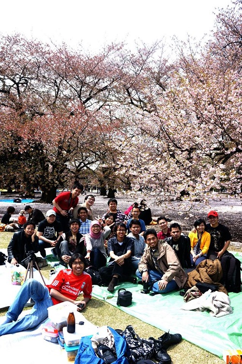 hanami bersama di shinjuku gyoen