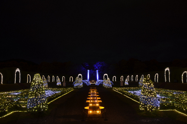 huis ten bosch illumination