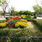 umekoji park flower