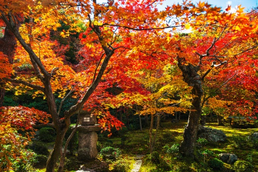 Alasan Pergi ke Jepang Saat Musim Gugur Info Wisata di 