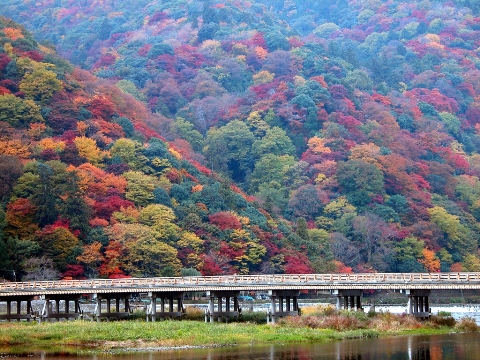 Pemandangan momiji di Kyoto: Arashiyama