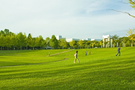 Area lapangan terbuka di Bampaku Kinen Koen