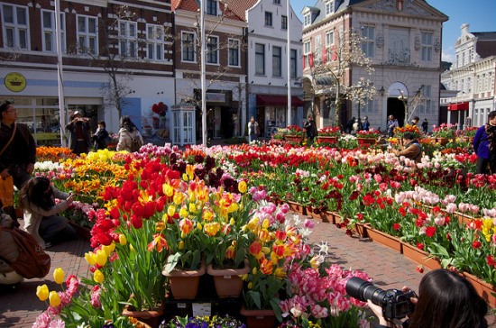 Art Garden Huis Ten Bosch Nagasaki