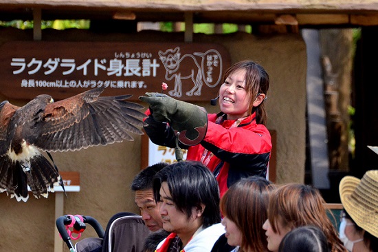 Atraksi burung di Zoorasia Yokohama