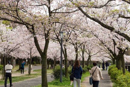 Berkeliling Kema Sakuranomiya di Osaka