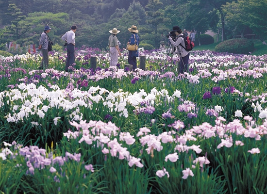 Berkeliling di Taman Kawazu Bagatelle