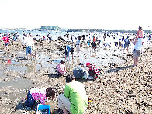 Bermain di pantai terbuka Yokahama Hakeijima Sea Paradise