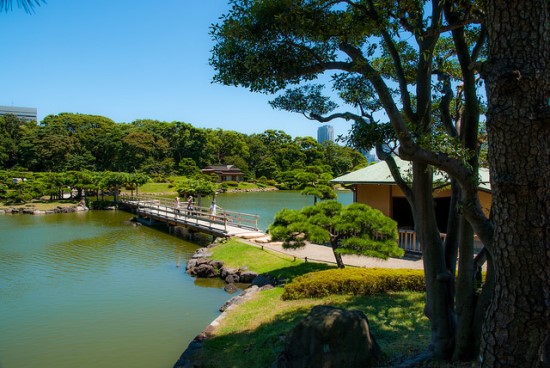 Bersantai menikmati keindahan Taman Hama Rikyu