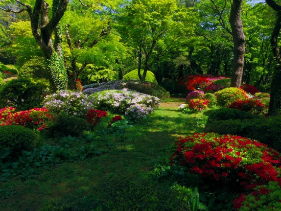 Bunga-bunga indah di Taman Horaien Hakone