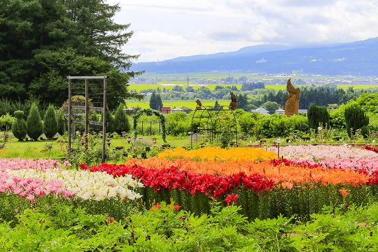 Bunga musim panas di Inawashiro Herb Garden