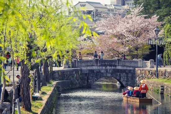 Bunga sakura dari Kanal Kurashiki di Okayama