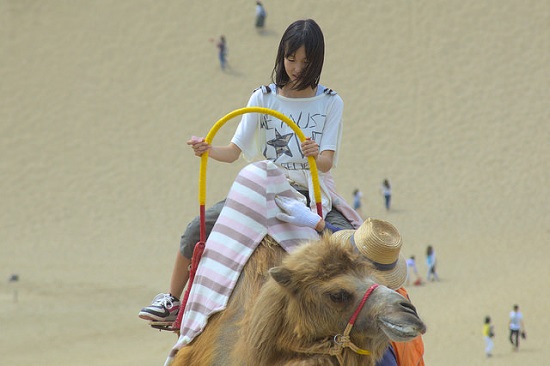 Coba naik unta di Tottori Sand Dunes