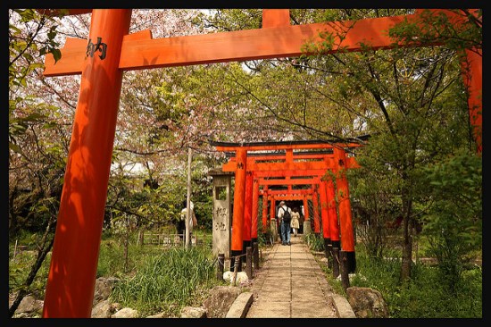 Deretan Torii di Kuil Hirano Kyoto