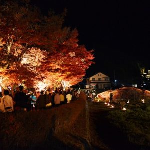 Festival Momiji Kawaguchiko